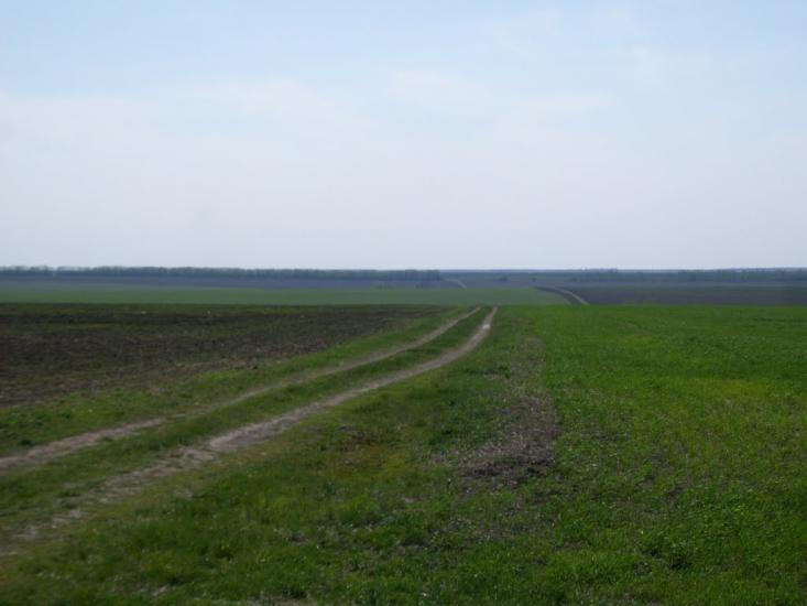 Карбівське з panoramio.com - Karbivske