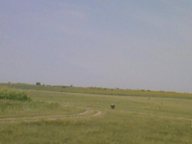 Бабин з panoramio.com - Babyn