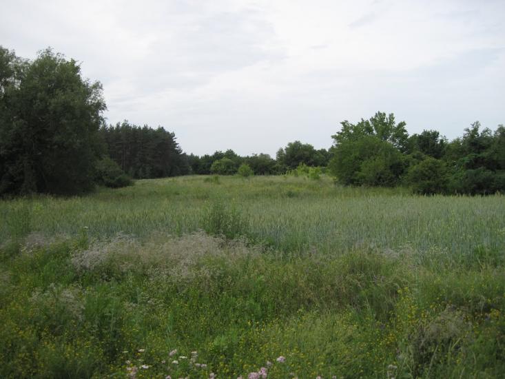 Плавні з panoramio.com - Плавни