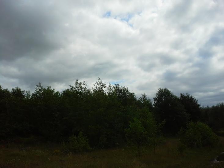 Сошники з panoramio.com - Сошники