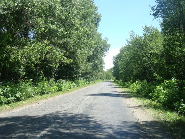 Баламутівка з panoramio.com - Balamutivka