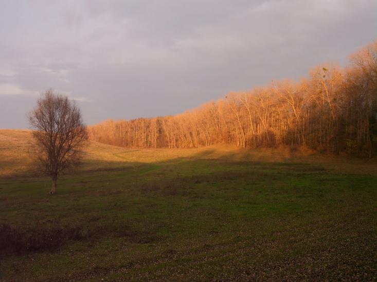 Добра з panoramio.com - Добрая