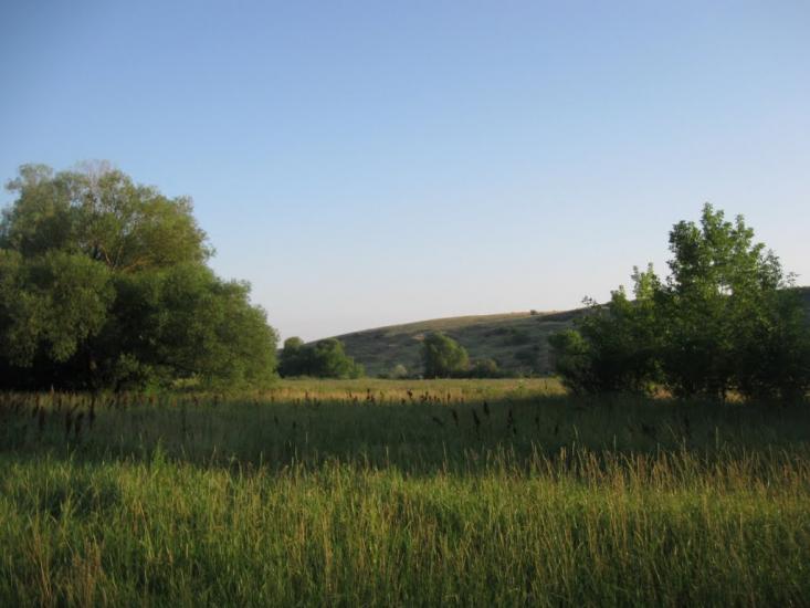 Врубівський з panoramio.com - Vrubivskyy