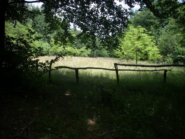 Кам'яниця з panoramio.com - Кам'яниця