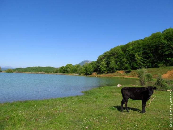 Поляна з panoramio.com - Polyana