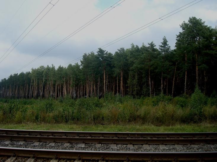 Славута з panoramio.com - Славута