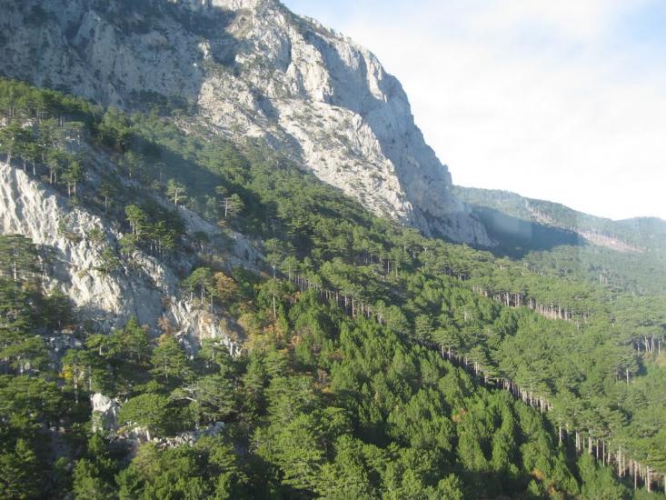 Відрадне з panoramio.com - Відрадне