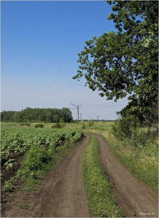 Веселе Поле з panoramio.com - Веселе Поле