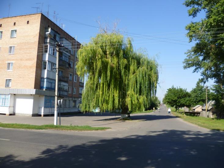 Гоголеве з panoramio.com - Gogoleve