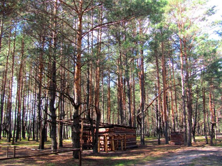 Костюхнівка з panoramio.com - Костюхнівка