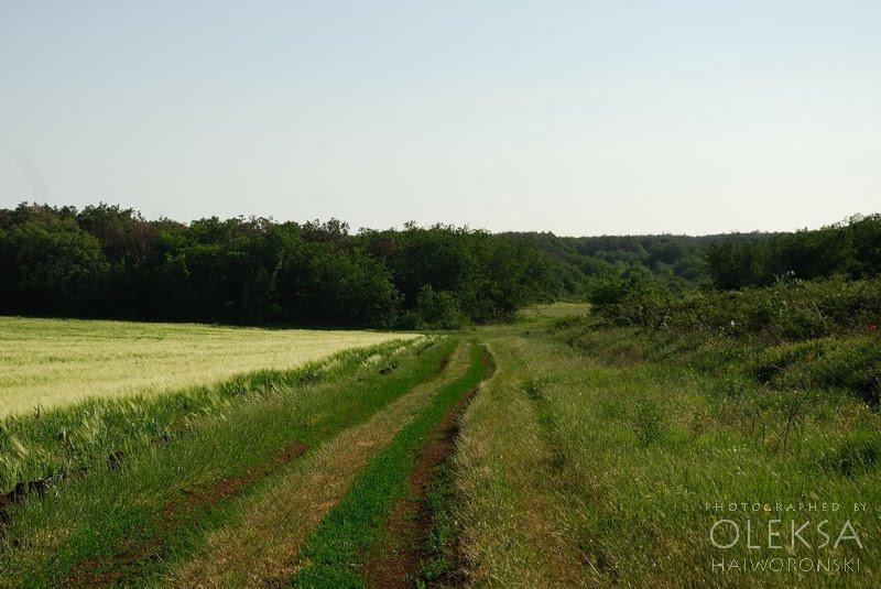 Вікторівка з panoramio.com - Викторовка