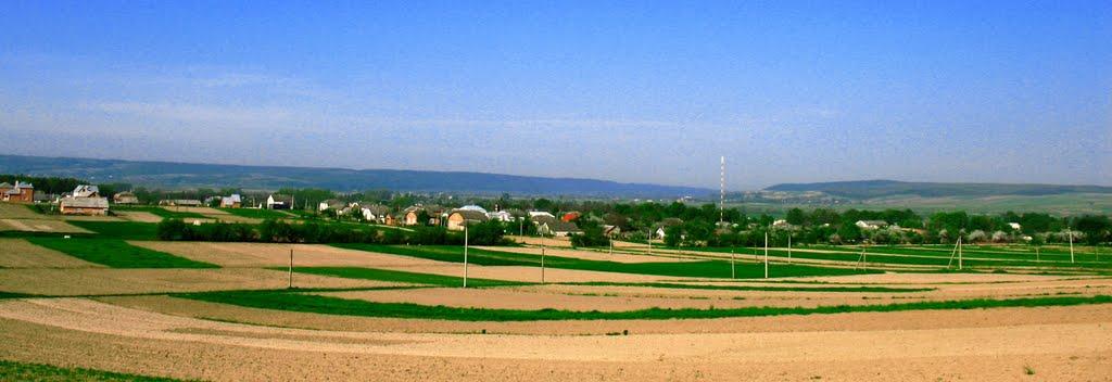 Букачівці з panoramio.com - Букачівці