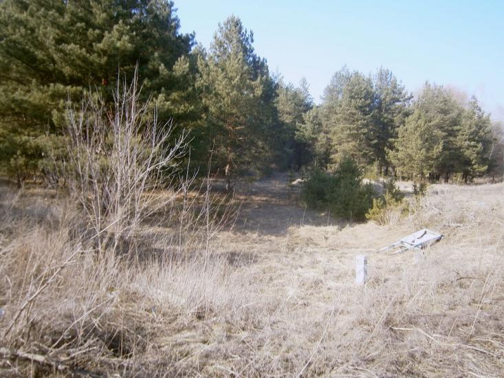 Власівка з panoramio.com - Власовка
