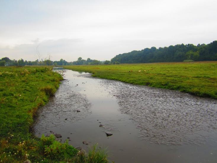 Кутківці з panoramio.com - Кутковцы