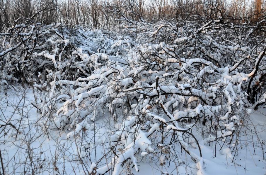 Фабричне з panoramio.com - Фабричное