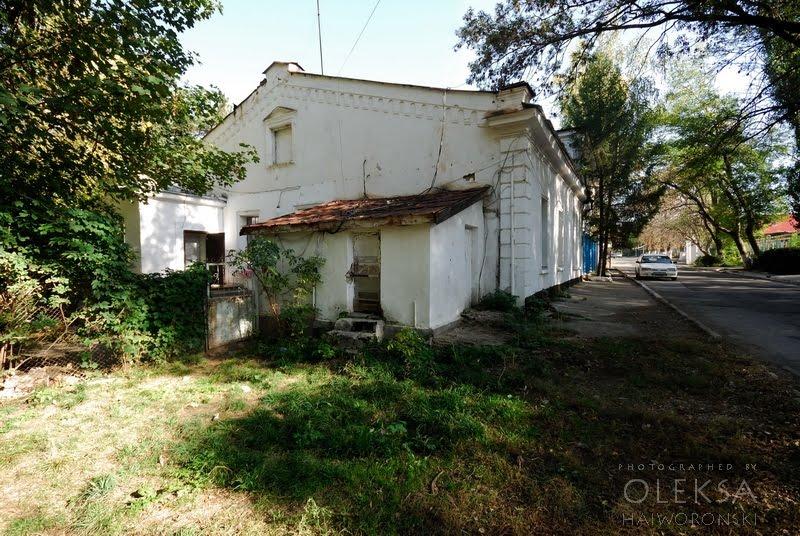 Каштанове з panoramio.com - Каштановое