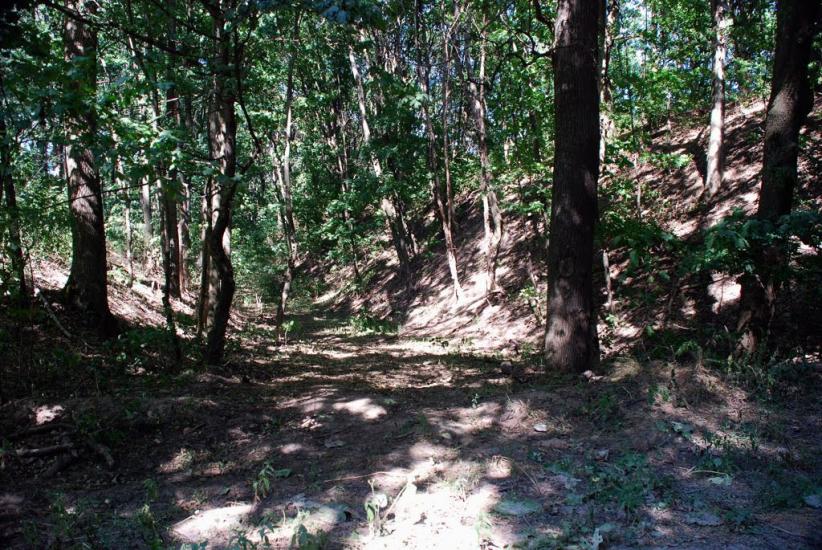 Лубенці з panoramio.com - Лубенцы