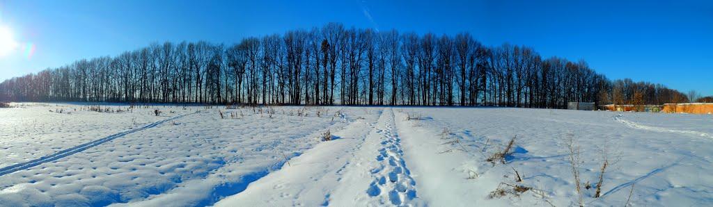 Зарванці з panoramio.com - Зарванцы
