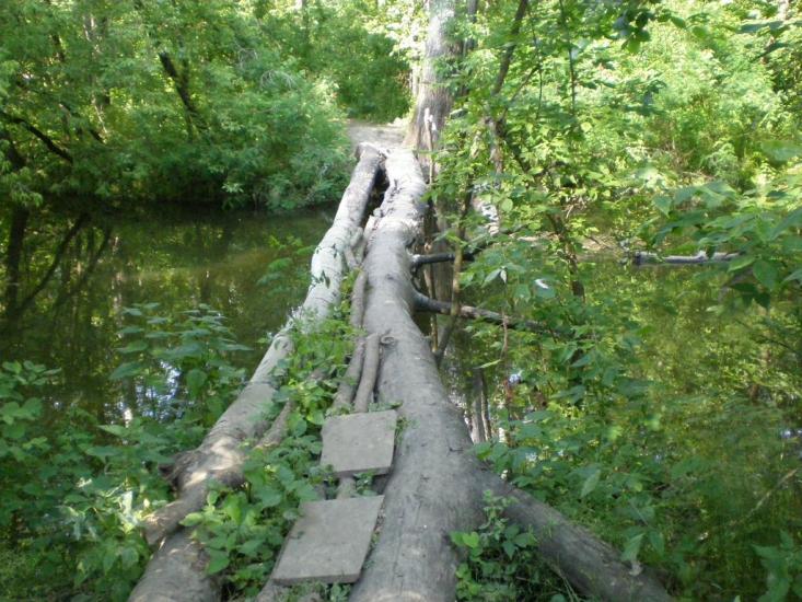 Новоселівка з panoramio.com - Новоселівка