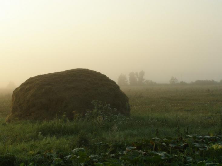 Томашівка з panoramio.com - Томашівка