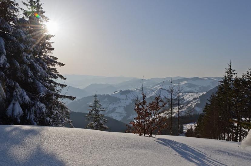 Черетів з panoramio.com - Черетов