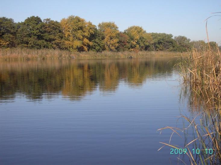 Котовка з panoramio.com - Котовка