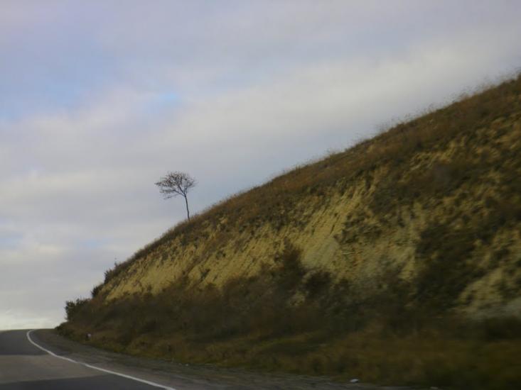 Севастянівка з panoramio.com - Севастянівка