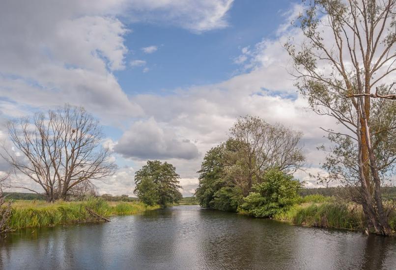 Мохнач з panoramio.com - Мохнач