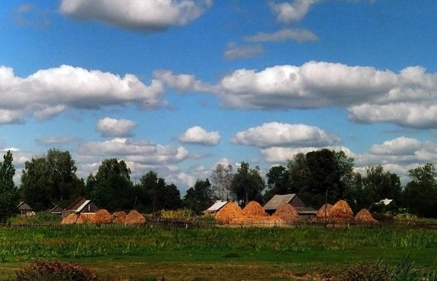 Ветли з panoramio.com - Ветли