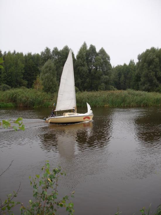 Сорокошичі з panoramio.com - Сорокошичи
