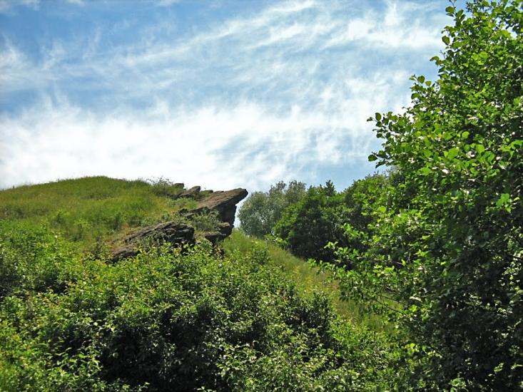 Верхньошевирівка з panoramio.com - Верхнешевыревка