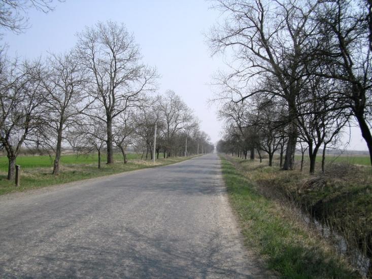 Нижній Коропець з panoramio.com - Нижній Коропець