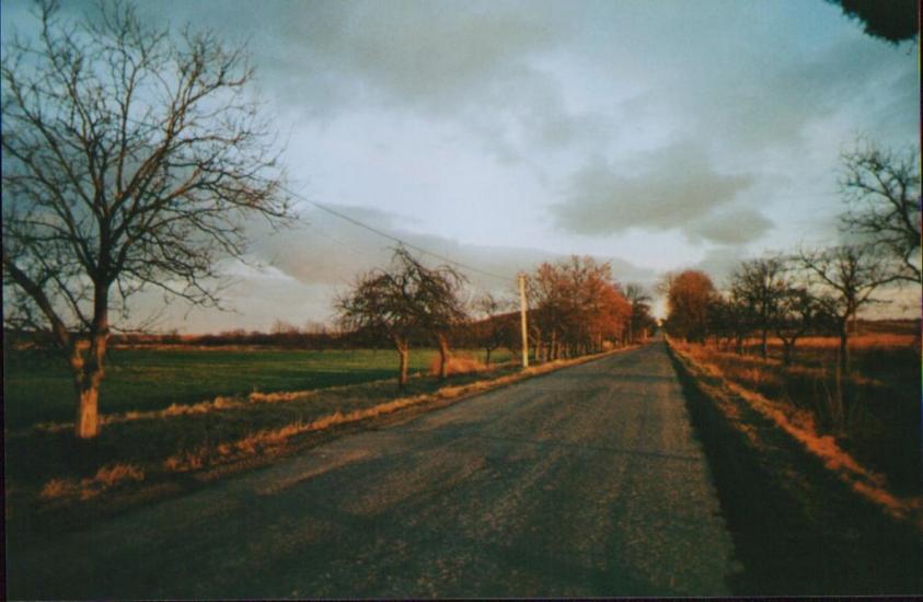 Нижній Коропець з panoramio.com - Nyzhniy Koropets