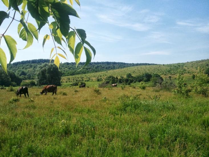 Новоукраїнка з panoramio.com - Новоукраїнка