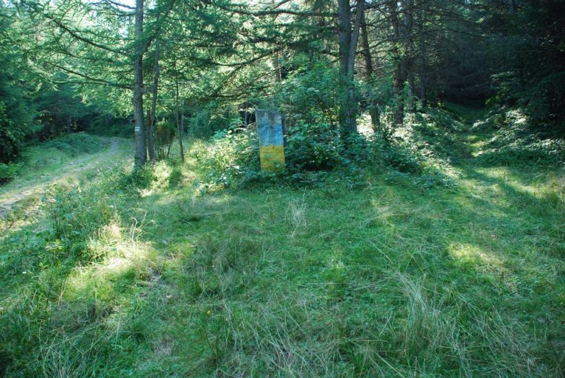 Згари з panoramio.com - Згары