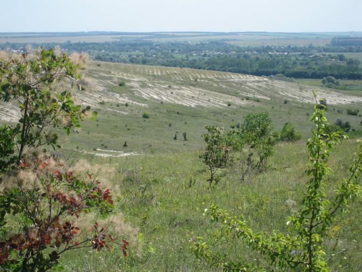 Хворостянівка з panoramio.com - Хворостяновка
