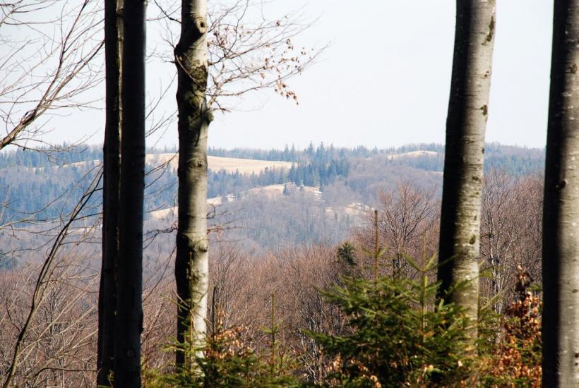 Букове з panoramio.com - Букове