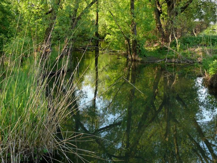 Рогань з panoramio.com - Rogan