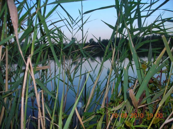 Пересічна з panoramio.com - Пересічна