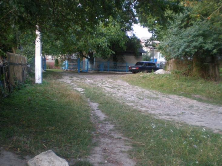 Цвітова з panoramio.com - Цвітова