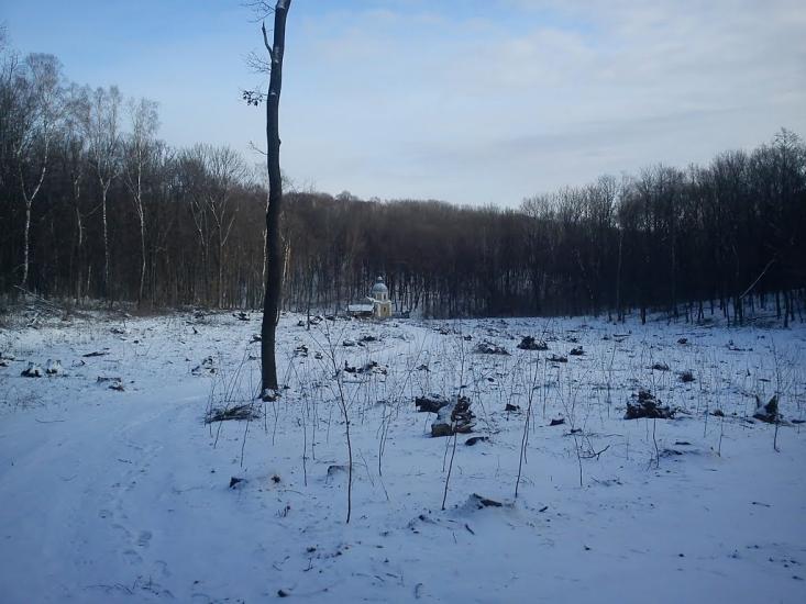 Тщенець з panoramio.com - Тщенець