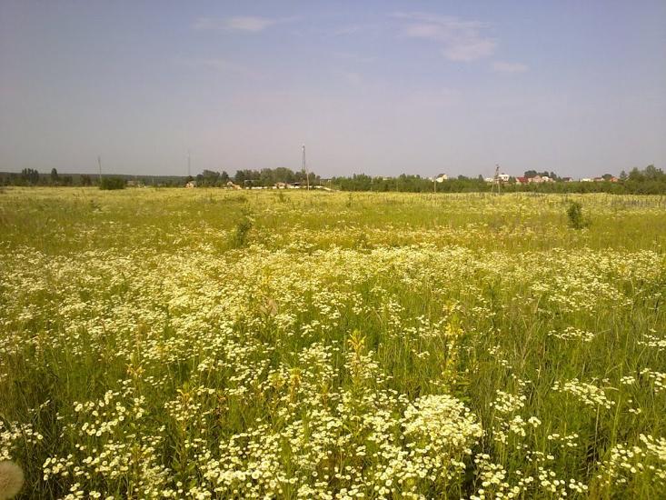 Малютянка з panoramio.com - Малютянка