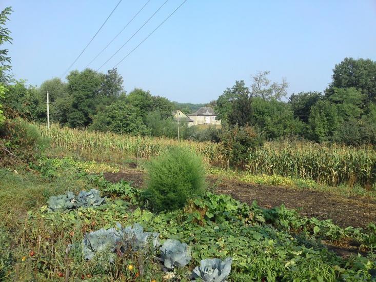 Подвір'ївка з panoramio.com - Подворьевка