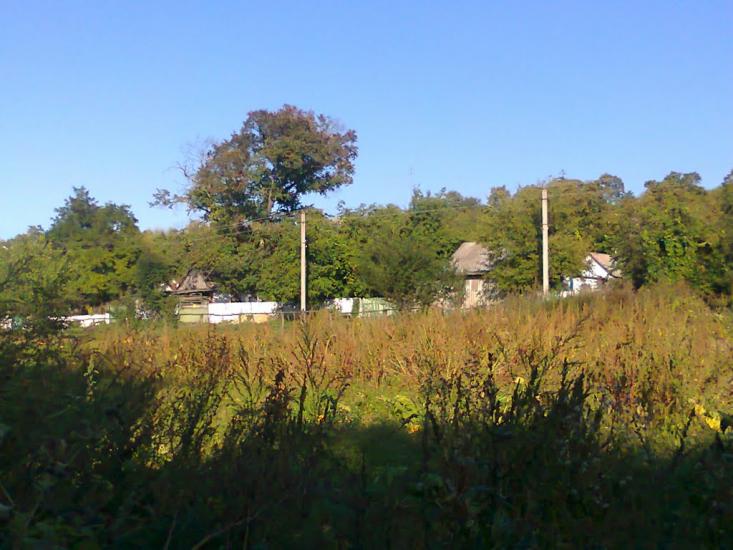 Босівка з panoramio.com - Босівка