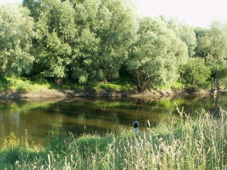 Угринів з panoramio.com - Угринів