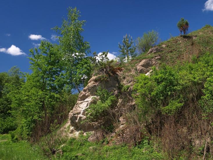 Трушевичі з panoramio.com - Трушевичи