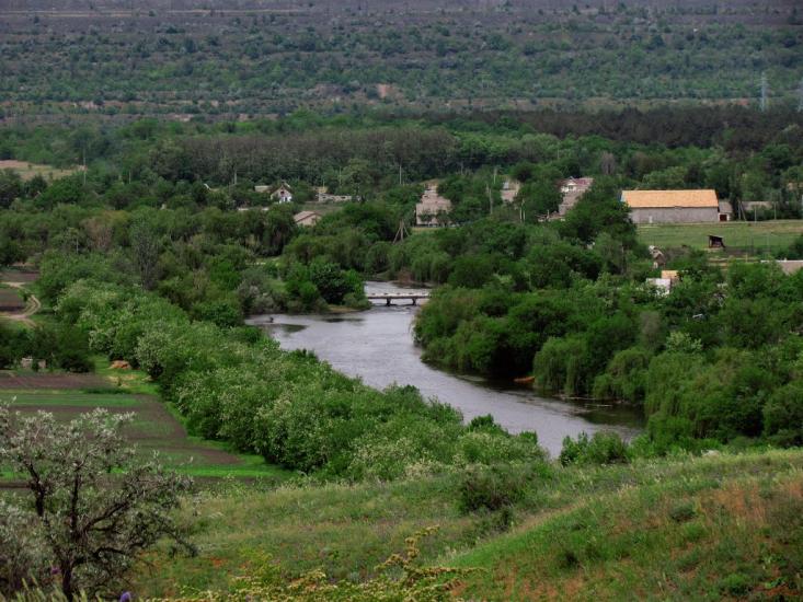 Новокурське з panoramio.com - Новокурське