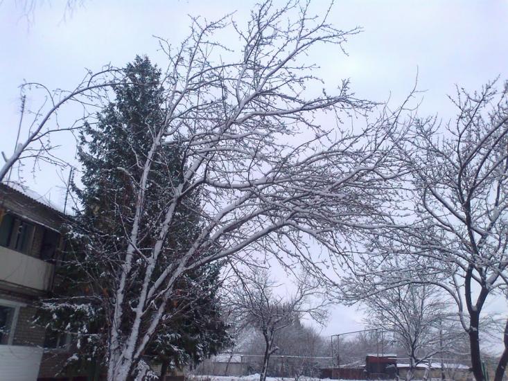 Новоганнівка з panoramio.com - Новоганновка