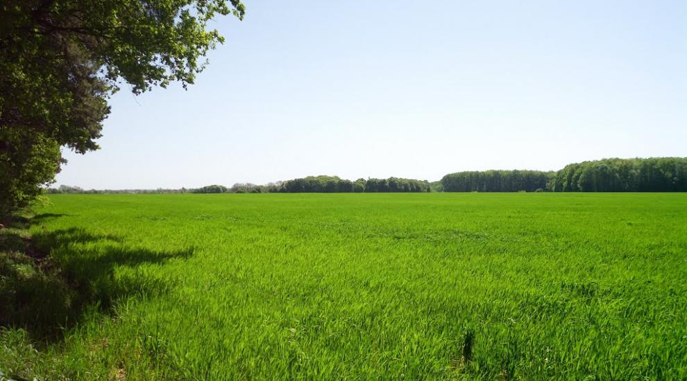 Дзензелівка з panoramio.com - Дзензелівка
