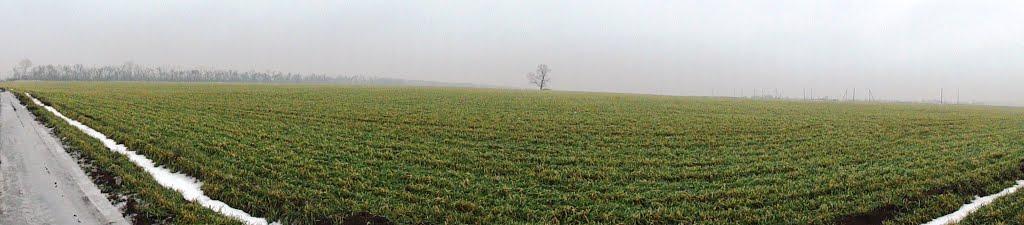 Мильці з panoramio.com - Мильцы